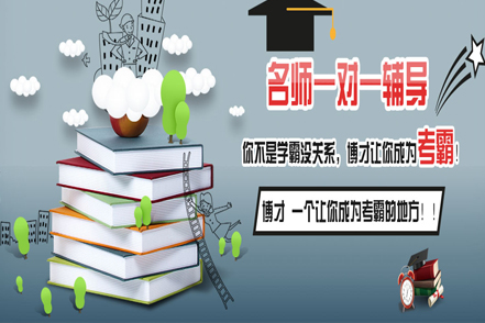 兰州艺考文化课培训