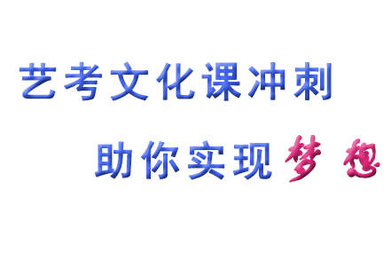 兰州艺考文化课冲刺