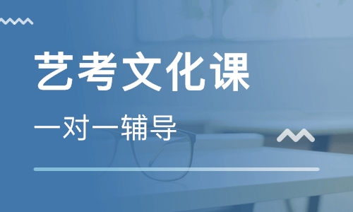 兰州艺考文化课冲刺