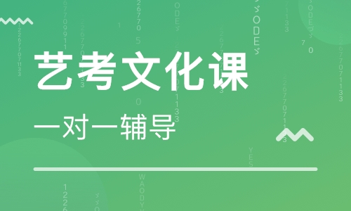 艺考文化课冲刺