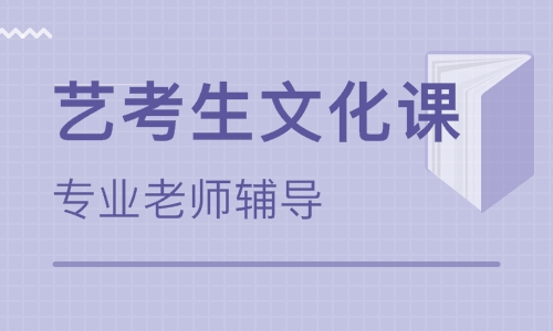 甘肃艺考生文化课冲刺